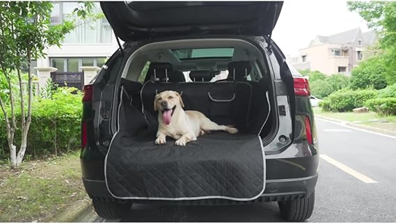 Buvrs™ Car mat for pets